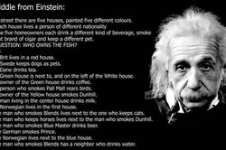 Giải được 'câu đố Einstein', bạn xứng đáng là thiên tài
