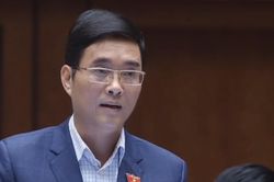 'Việt Nam vẫn chưa hóa rồng, hóa hổ'