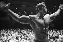 Tài tử cơ bắp Arnold Schwarzenegger và hành trình 35 năm làm Kẻ hủy diệt