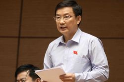 Đất nước mất nội lực khi thương hiệu Việt về tay nước ngoài