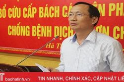 Xốc lại tinh thần, nhanh chóng khống chế dịch tả lợn châu Phi ở Hà Tĩnh