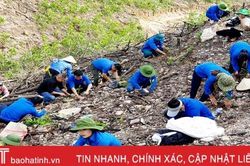 Hỗ trợ người dân Hà Tĩnh 70 nghìn cây giống tái tạo rừng, xây dựng nông thôn mới