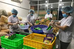 Chủ trương của Đảng, ý nguyện của dân - Bài 3: Nhiều cách làm sáng tạo trên đất sen hồng