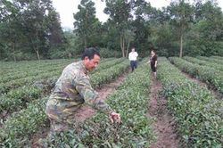 Bắc Giang: Đẩy mạnh giảm nghèo bền vững ở huyện Sơn Động