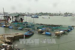 Khánh Hòa triển khai quyết liệt công tác ứng phó với bão số 5