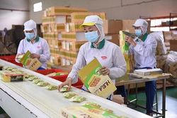 Lợi nhuận sau thuế quý III của Pan Group tăng 42%