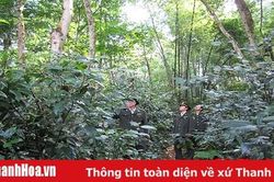 Tăng cường đấu tranh chống khai thác và vận chuyển, buôn bán lâm sản trái phép