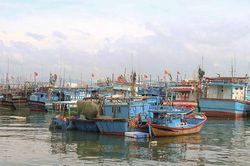 Các địa phương chủ động ứng phó với mưa bão