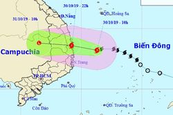 Tin bão khẩn cấp cơn bão số 5