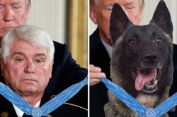 TT Trump đăng ảnh chế về chú chó giúp tiêu diệt trùm IS
