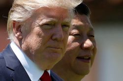 APEC bị hủy, cuộc gặp Trump - Tập có thể diễn ra ở Macao