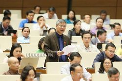 'Đừng để cho những người thờ ơ vô cảm giữ bất cứ trọng trách nào'