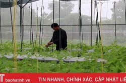 Làm nông nghiệp sinh thái, Làng trẻ em mồ côi Hà Tĩnh tự túc rau sạch cho trẻ