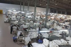 Ngành BHXH tập trung vào công tác thu những tháng cuối năm