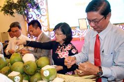 Bến Tre tổ chức Lễ hội Dừa