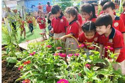 Bổ ích giờ hoạt động ngoài trời