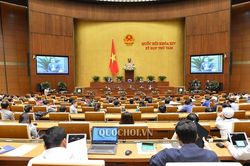 Bảo vệ môi trường, an sinh xã hội ngày càng cấp thiết