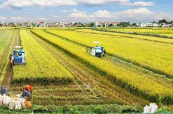 Cần đội ngũ nông dân chuyên nghiệp