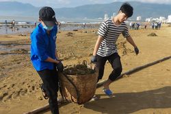 Bãi biển Bình Định ngập rác sau bão số 5