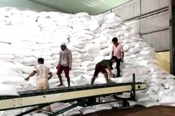Xuất cấp gần 1.500 tấn gạo hỗ trợ học sinh hai tỉnh Đắk Lắk và Đắk Nông