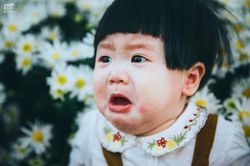 Hài hước bộ ảnh em bé mếu máo giữa vườn cúc họa mi