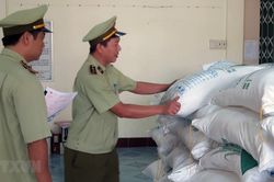 Phú Yên tạm giữ 30 tấn đường kính trắng không rõ nguồn gốc