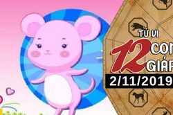 Tử vi thứ 7 ngày 2/11/2019 của 12 con giáp: Hợi bứt phá trong sự nghiệp, Dần cải thiện tình cảm
