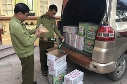 Lạng Sơn: Ngăn chặn 620kg củ cải đã qua sơ chế nhập lậu