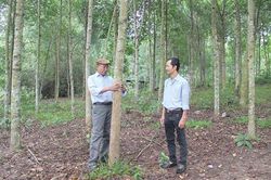 Đẩy mạnh phong trào phát triển kinh tế ở A Dơi