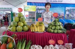 Khai mạc Hội chợ nông nghiệp và sản phẩm OCOP khu vực phía bắc