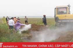 Nghi Xuân - địa phương cuối cùng 'dính' dịch tả lợn châu Phi