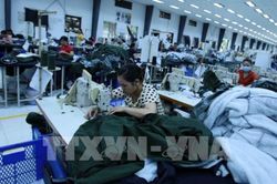 Thành phố Hồ Chí Minh: Nhu cầu tuyển dụng lao động tháng 11 tăng 4%