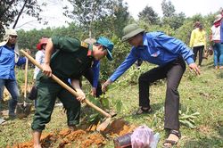20 năm ấy biết bao tình