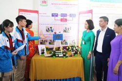 50 dự án tham gia Cuộc thi khoa học kỹ thuật dành cho học sinh THCS