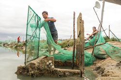 Bão số 5 cuốn hàng trăm lồng nuôi cá, dân Phú Yên trắng tay