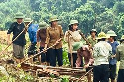 16 phim Việt tranh giải Bông sen vàng 2019