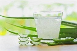 Thận trọng khi sử dụng cây nha đam làm đẹp
