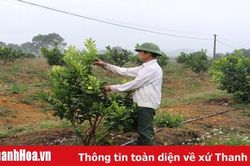 Hiệu quả phong trào thi đua 'Dân vận khéo' ở huyện Thạch Thành