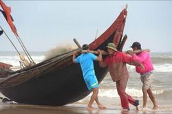 Đời sống Sóng vỗ dưới chân người