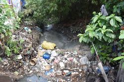 Tiêu chí công nhận địa bàn không xả rác tại thành phố Hồ Chí Minh