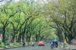 Có hẹn cùng Huế ngày thu