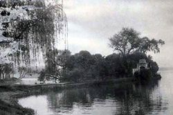 Khám phá Hồ Tây (kỳ 10): Nhà tranh, gốc liễu của Thạch Lam bên Hồ Tây