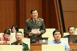 Cần tăng cường chế tài, xử lý nghiêm khắc với tội phạm ma túy