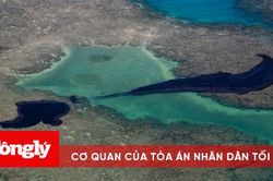 Sự cố tràn dầu ở bờ biển Brazil: 'Điều tồi tệ nhất vẫn chưa xảy ra'