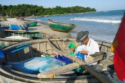 Ngư dân làng chài cổ Nam Ô vật vờ đi thúng bám biển