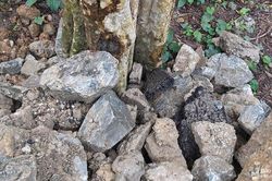 Rác, đất đá thải 'tấn công' cảnh quan rừng săng lẻ Tương Dương