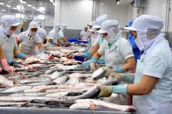 Mỹ công nhận hệ thống an toàn thực phẩm cá da trơn của Việt Nam