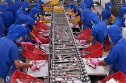 4 doanh nghiệp Việt sẽ xuất khẩu cá tra sang Mỹ với thuế suất 0 USD