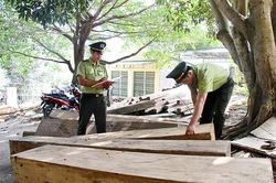 32 vụ vi phạm Luật Lâm nghiệp