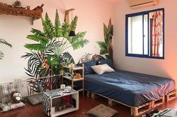 9X biến phòng trọ thành không gian như studio